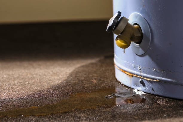 Best Professional water damage repair  in Town And Country, WA