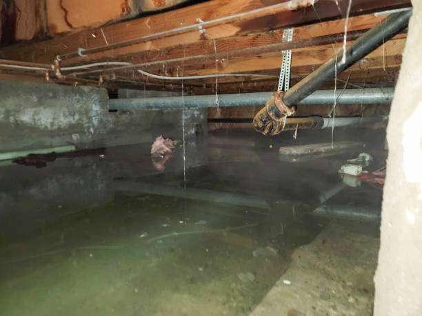Best 24/7 water damage repair  in Town And Country, WA
