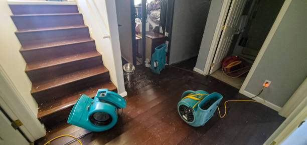 Best Flood damage cleanup  in Town And Country, WA