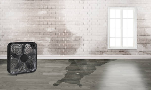 Best Fire Damage Restoration  in Town And Country, WA