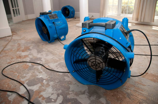 Best Sewage cleanup and water damage restoration  in Town And Country, WA