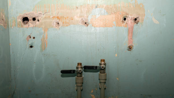 Best Ceiling water damage repair  in Town And Country, WA