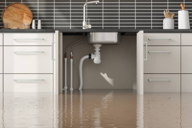 Best Carpet water damage restoration  in Town And Country, WA