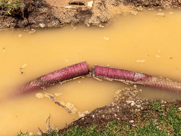 Best Sewage cleanup and water damage restoration  in Town And Country, WA