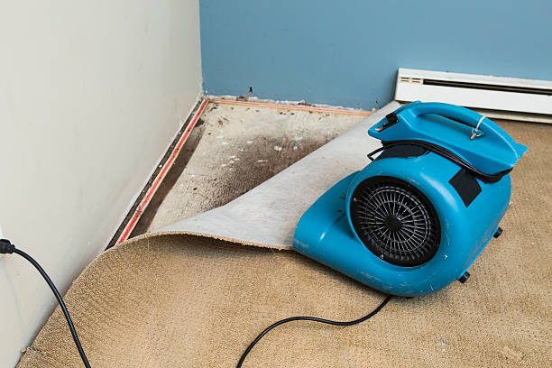 Best Water damage restoration near me  in Town And Country, WA